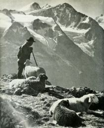 Die Schweiz 67 Am Morteratschgletscher