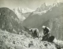 Die Schweiz 70 Herbstarbeit der Bergbäuerinnen