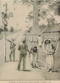 Das Anbringen einer Telegraphenleitung an lebende Feigenbäume in Zentralafrika. 1902