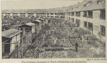 Kleingäten, die Siedlung Lindenhof in Berlin-Schöneberg mit Hausgärten