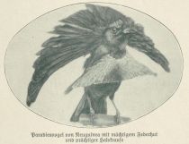 Hutmode im Vogelreich - Paradiesvogel von Neuguinea mit mächtigem Federhut und prächtiger Halskrause