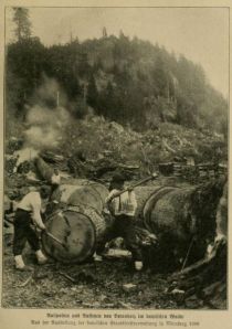 Aufspalten und Aufsetzen von Brennholz im Bayrischen Walde