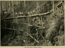 Bau einer Riese im Eckwald (Allgäu)