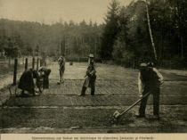 Bodenvorbereitung und Aussaat von Kiefernsamen im akademischen Forstgarten zu Eberswalde