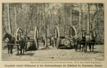 Holzabfuhr mittels Rückwagen in den Kiefernwaldungen des Südostens der Vereinigten Staaten