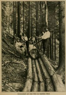 Holztransport auf der Riese im Bayrischen Wald