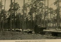 Holztransport auf der Waldbahn