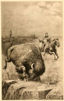 Bison oder Büffel engl. Buffalo, heißt eine in Nordamerika einheimische, Art wilder Ochsen, welche sich durch eine bedeutende Erhöhung zwischen den Schultern und eine löwenartige Mähne von wolligem Haar auszeichnet, das an dem untern Theile von Hals und Kopf einen langen Bart bildet. Brockh. 1837