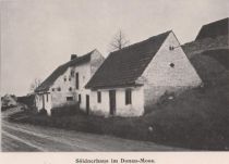 022 Söldnerhaus im Donau-Moos