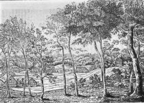 Seebad Heringsdorf - Holzschnitt von 1838