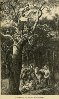 Baumposten der Kosaken in Ostpreußen