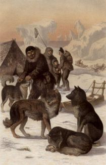 Huski, Arbeitshund der Eskimo