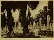 089. Türkischer Friedhof. Die mit Turban oder Fez bekrönten Grabsteine bezeichnen Männergräber