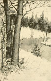 Schneebedeckte Bäume am Fluss, James Thomson 