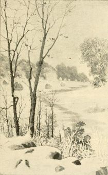 Mit Schnee bedeckte Bäume am Bach, James Thomson 