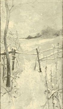 Mit Schnee bedeckter Zaun, James Thomson 