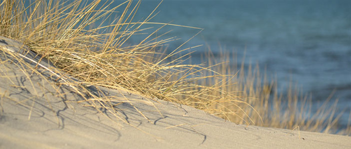 Ostsee Düne
